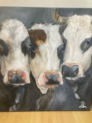 Expositie: Dita Aleman
