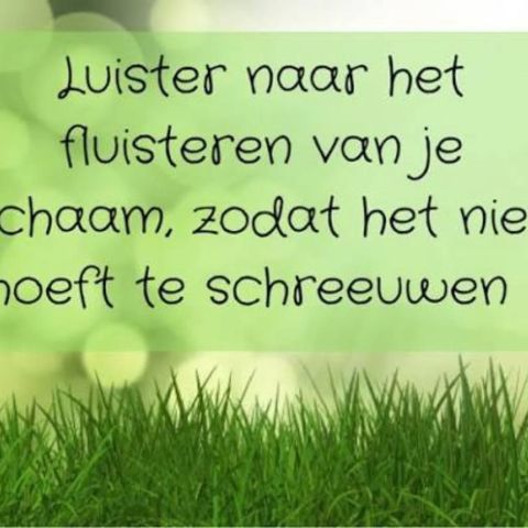 Lezing NEI-therapie en Human Design