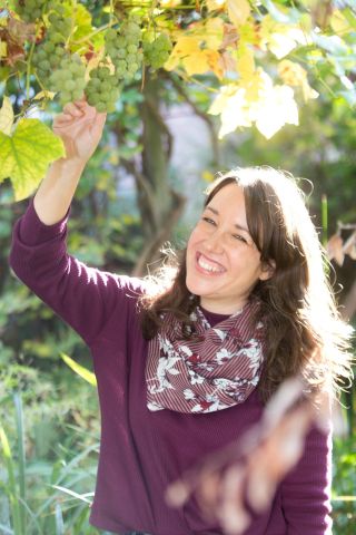 Proeftuin Kennismarkt 15-11-2025 14:00