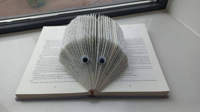Boekvouwen tijdens de Boreftse Boekenmarkt