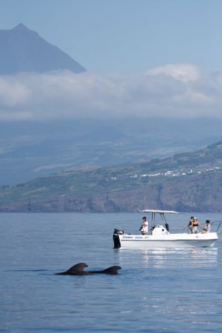 Aan tafel met..... Dr. Karin Hartman - Marinebiologe op de Azoren