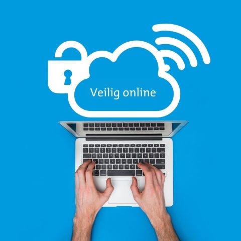 Cursus Veilig Online