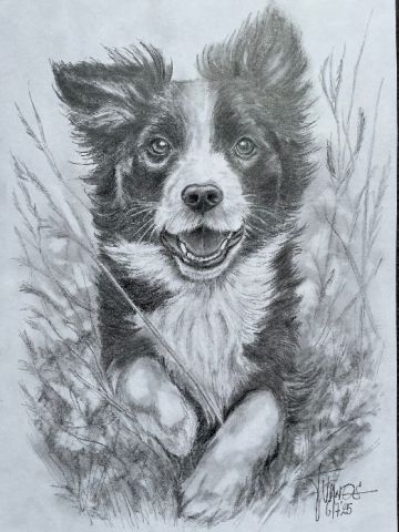 Expositie Frits van Os