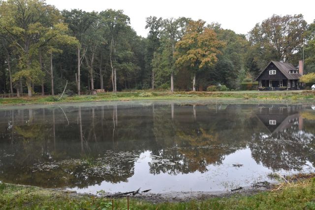 Green Café nature walk with IVN: Wielewaal