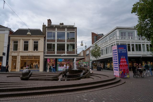 Drienerwoldelezing: 700 jaar literatuur in Enschede