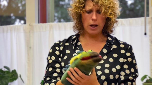 Muzisch Meesterschap - De kunst van onderwijs 14-01-2026 15:30