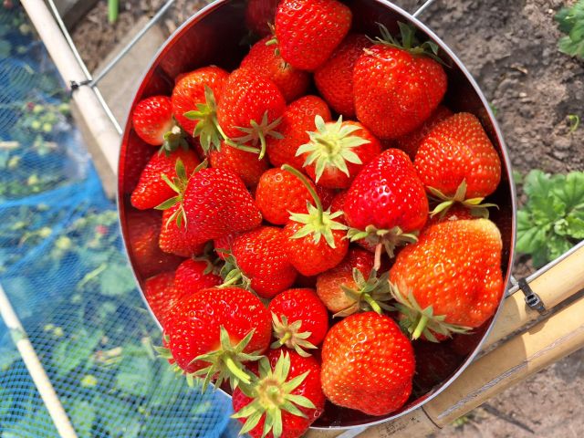 Bieb Café Sneek 25-03-2026 10:15