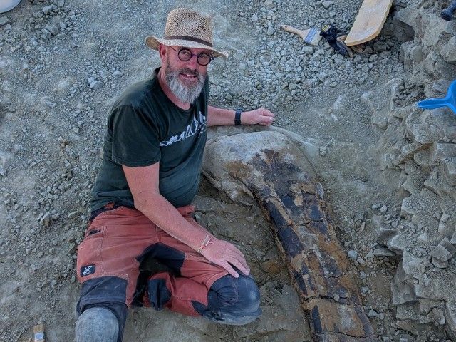 Waanzinnige Fossielen (7+)