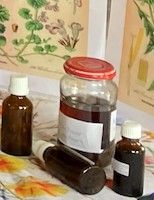 Workshop Zalf en Tinctuur