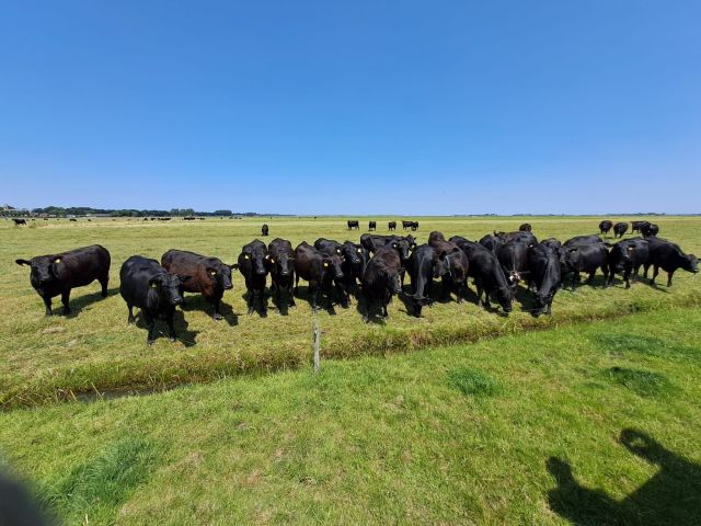 Themacaf: Het boerenleven in Eemnes