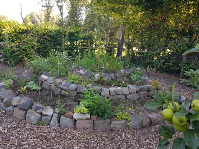Plantenwandeling bij molen Den Evert