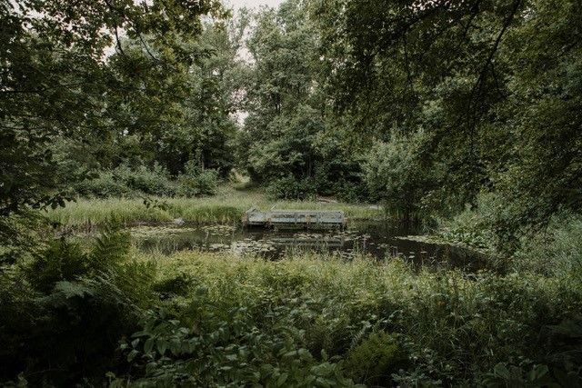 Workshop Natuurfotografie