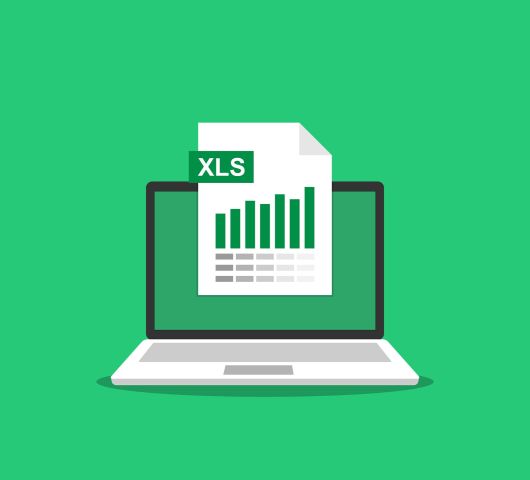 Basiscursus voor Excel