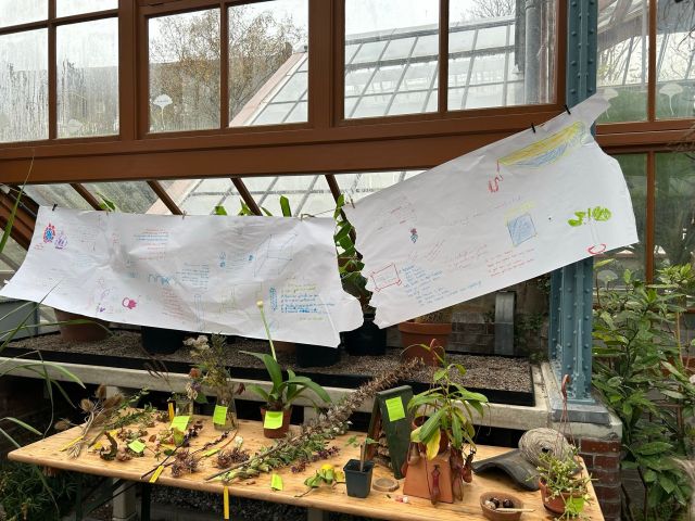 Straatgedichtentour mét workshop (8+)