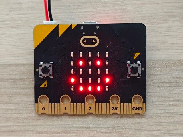 Programmeren met micro:bit