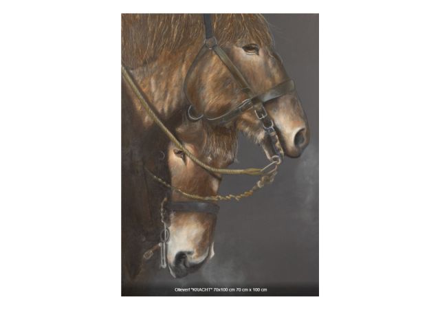 Expositie 'Kracht' en 'Grijs verleden' van Wout Kole