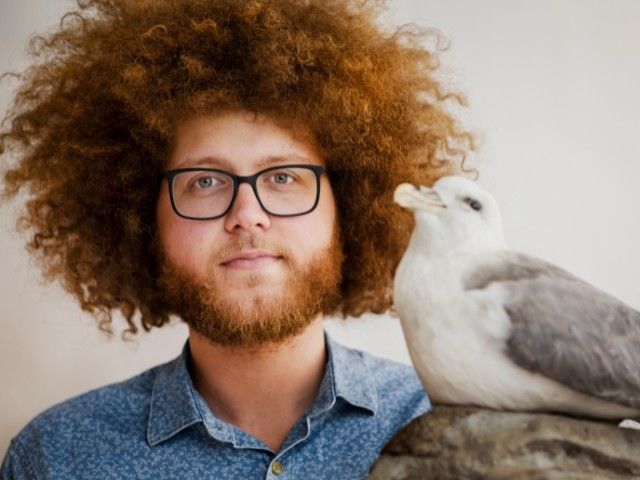 Katteks Kampioenskop Maeuwe Skraeuwe - Skraeuw het uit!