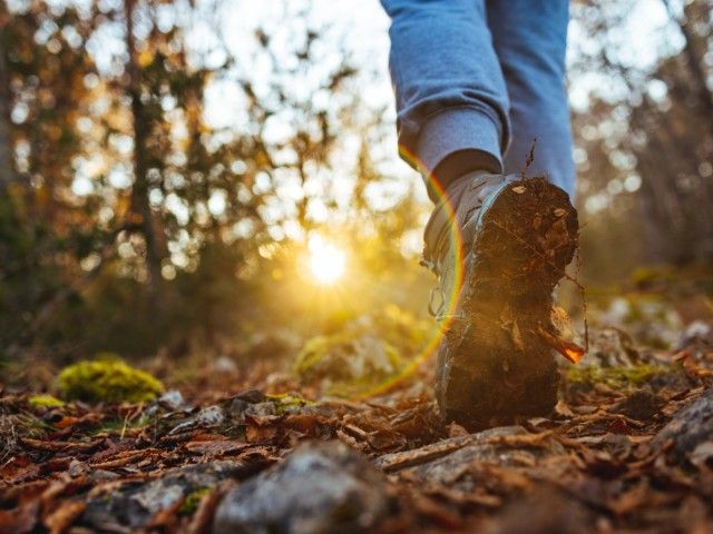 Praktisch in de Wijk 11-04-2026 10:00