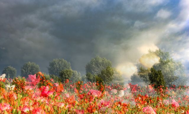 Impressionisme met de fotocamera in Bibliotheek Kapelle