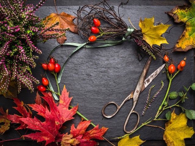 Koffie+ | Noordwijkerhout 15-10-2026 10:30