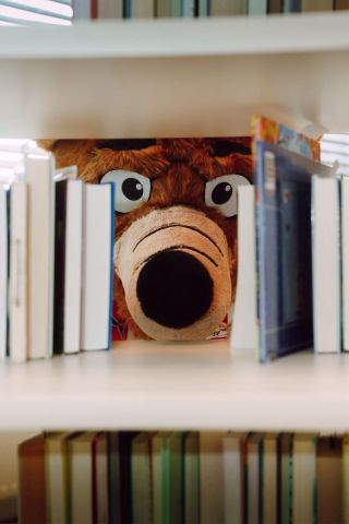 Foxy in de bibliotheek