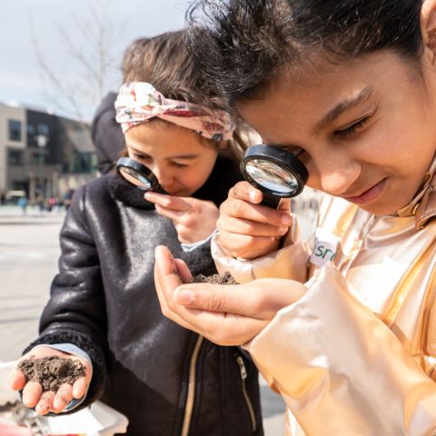 Kom langs bij de Verwondertafel van Naturalis!