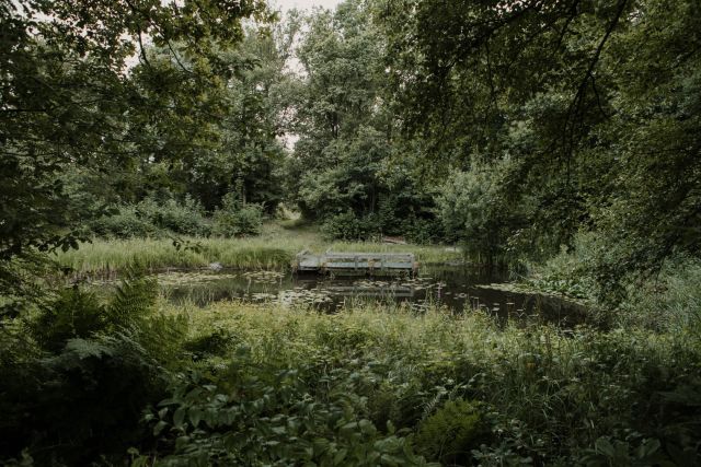 Workshop Natuurfotografie