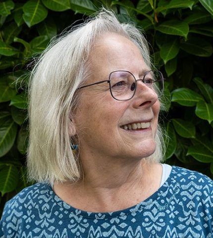 Stripscenario's schrijven met Paulien Andriessen