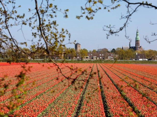 Koffie+ | Lisse 05-09-2026 10:15