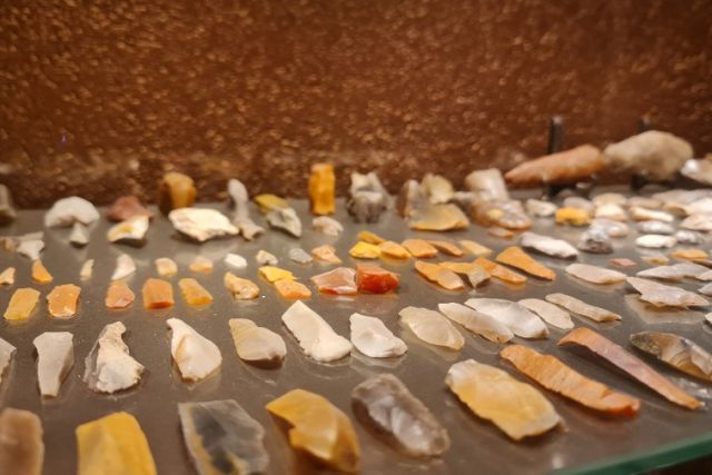 Expositie stenen, fossielen & artefacten