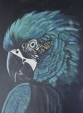 Opening nieuwe expositie