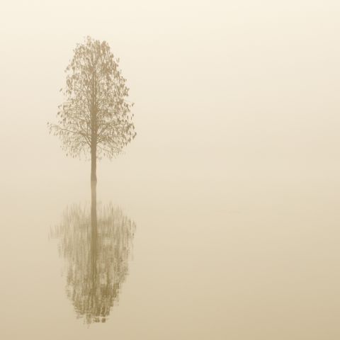 Parkstad in Gesprek | Zoeken naar stilte