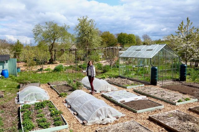 Proeftuin Online: Geef je moestuin een vliegende start