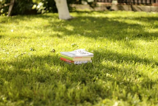 Workshop Mindfulness