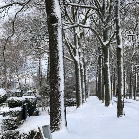 Schrijfcafé Culemborg