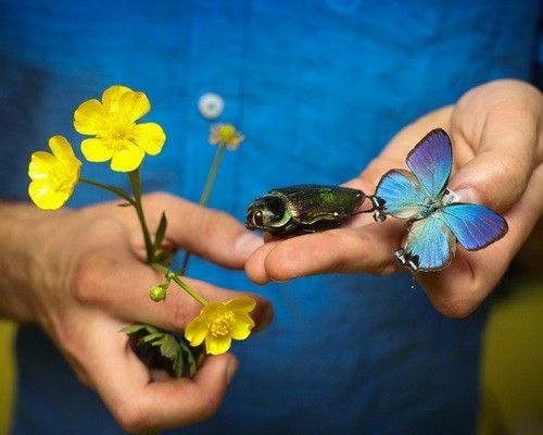 En toen was er kleur-IVN