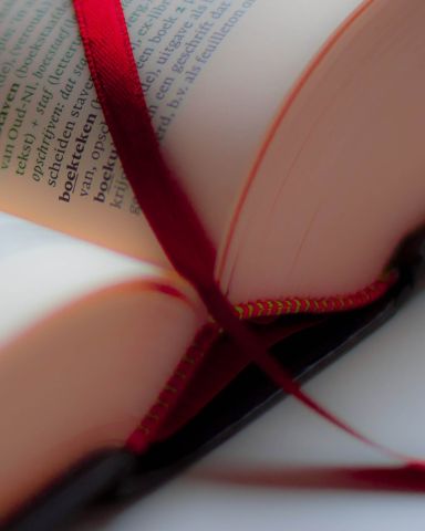 De veranderende Nederlandse taal