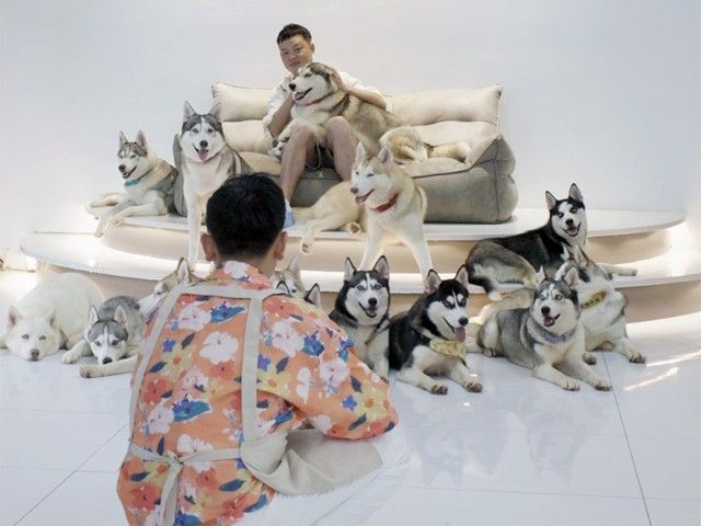 InScience | Filmvertoning The Dating Game