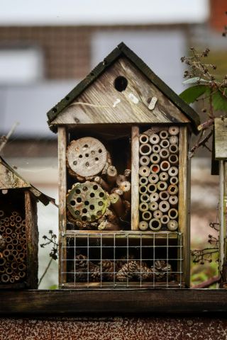 BiebLab - Insectenhotel maken
