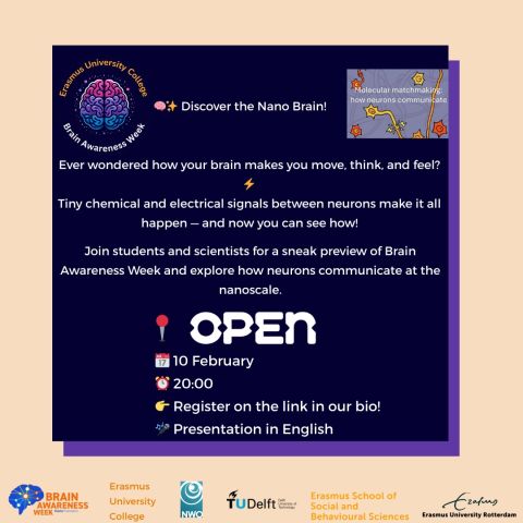 Discover the Nano Brain!