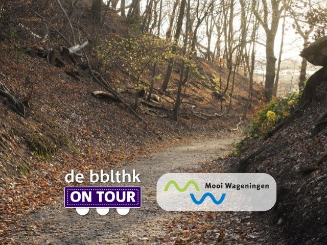 Verkiezingsdebat: natuur en landschap