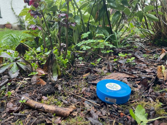 Pientere Tuinen Kick-Off