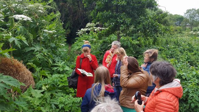 Wildplukwandeling in Het Twiske