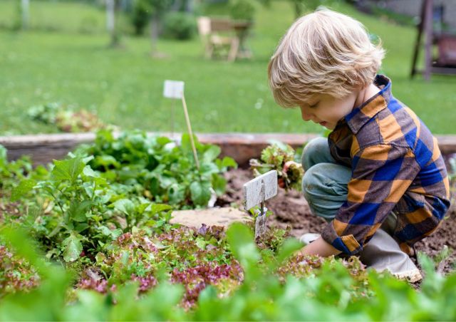 Workshop Succesvol Zaaien