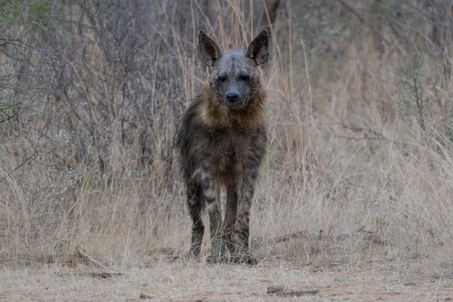 Expositie: Natuurlijk Zuid-Afrika