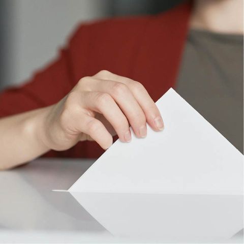 Ontdek alles over de gemeenteraadsverkiezingen