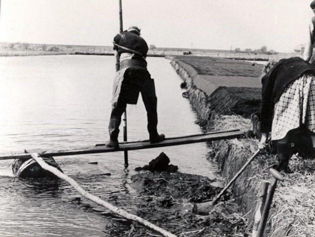 historisch cafe 2.png