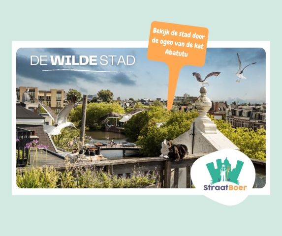 Groen Doen Filmmiddag: De wilde stad