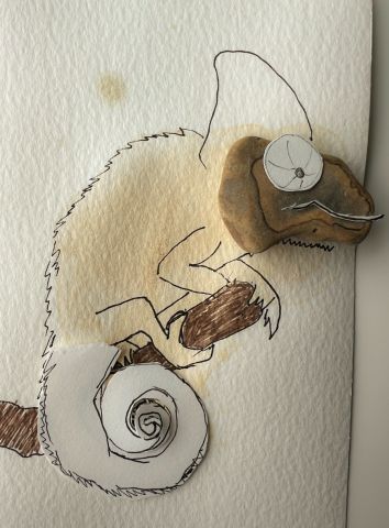 Workshop 'Overal iets te zien' (5-8jr)