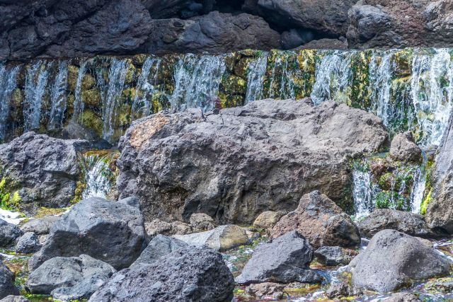 Expositie | Stichting Uit de Kunst Woensdrecht 03-03-2026 